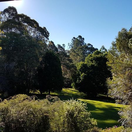 The Paddocks Villa Maleny Buitenkant foto